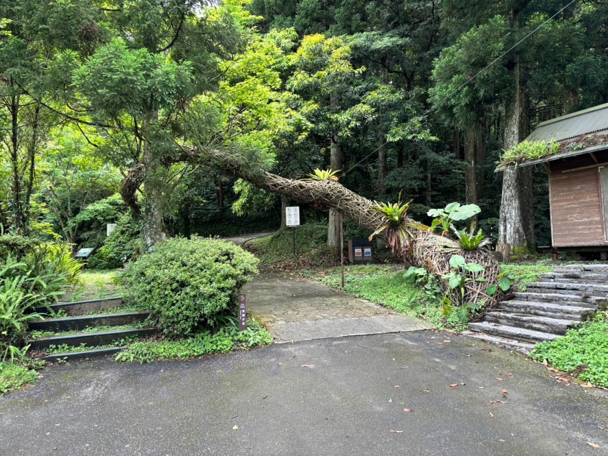 東眼山國家森林遊樂區