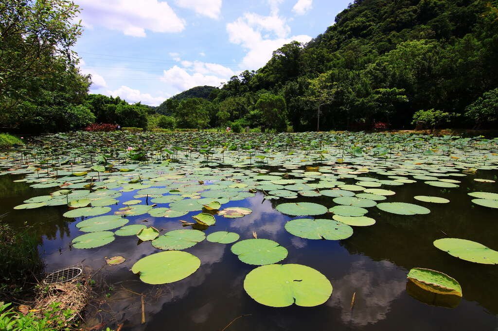山豬湖生態親水園區